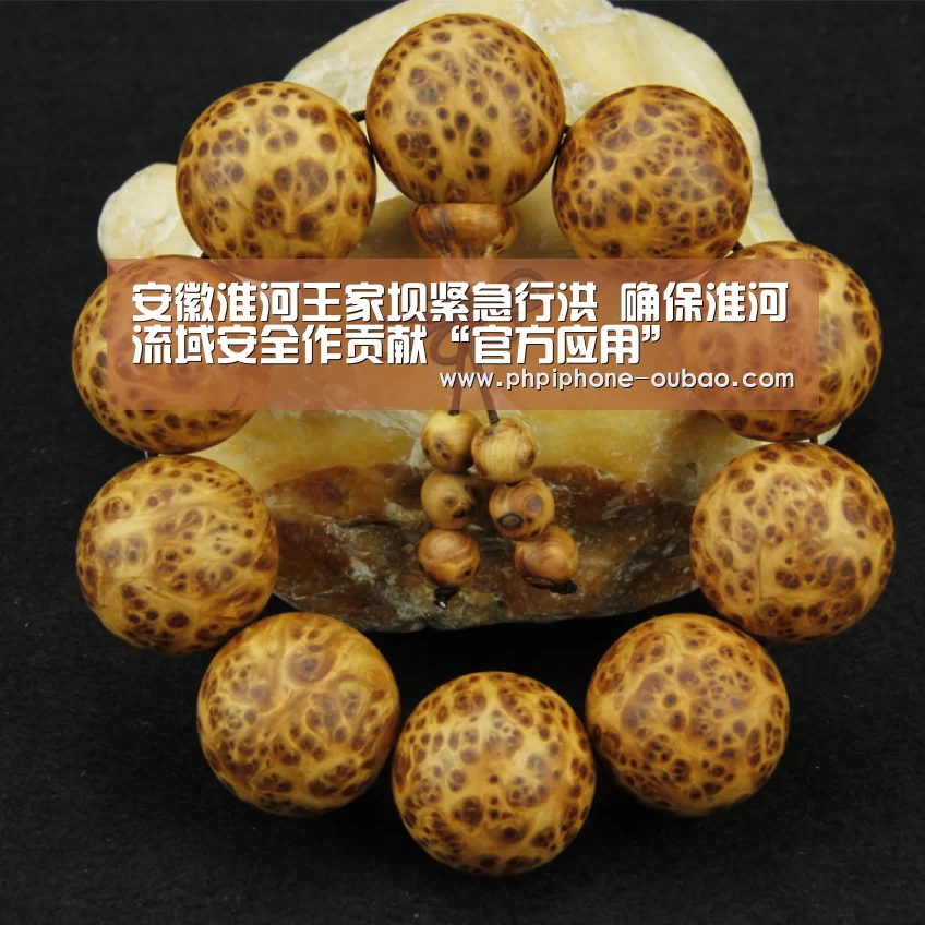 APP下载