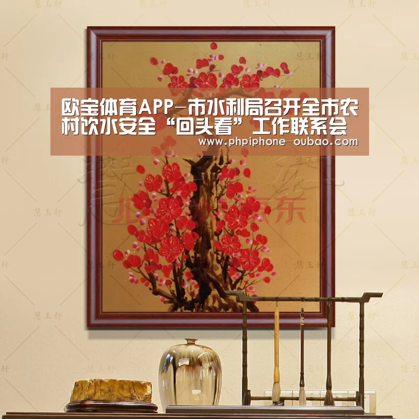 官方应用