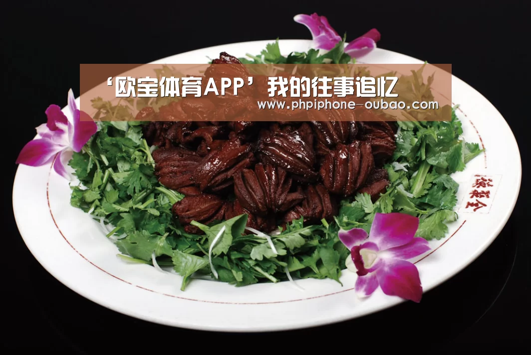 ‘欧宝体育APP’我的往事追忆(图2) 欧宝体育APP