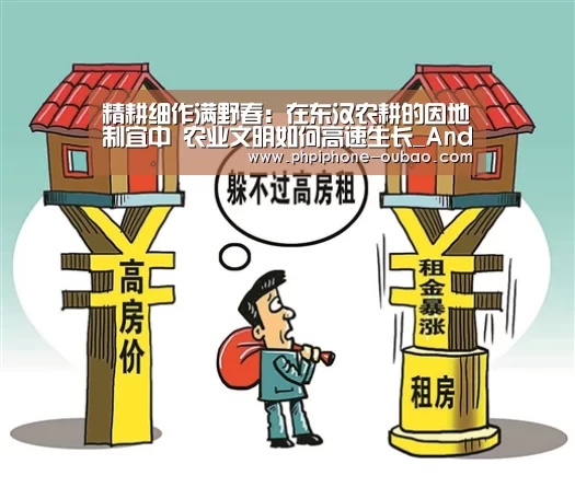 官方应用