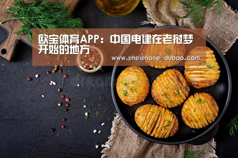 欧宝体育APP:中国电建在老挝梦开始的地方(图2) APP下载
