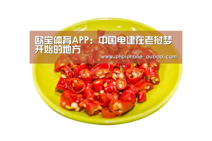 欧宝体育APP:中国电建在老挝梦开始的地方(图1) iOS下载