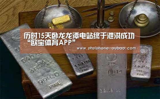 历时15天卧龙龙潭电站终于泄洪成功“欧宝体育APP”(图2) Android下载