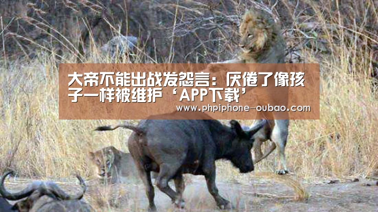 大帝不能出战发怨言:厌倦了像孩子一样被维护‘APP下载’(图1) Android下载