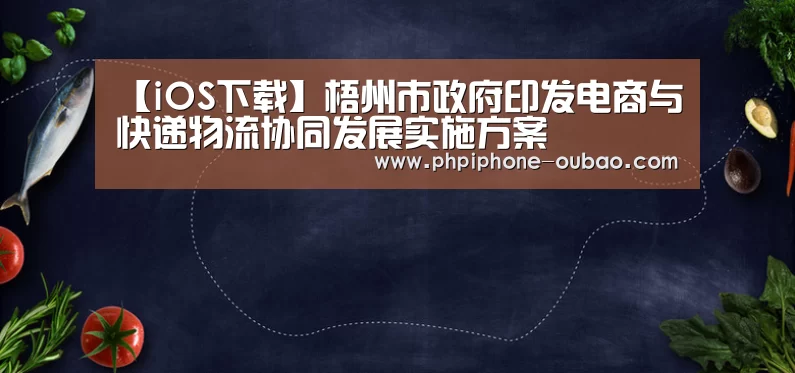 官方应用