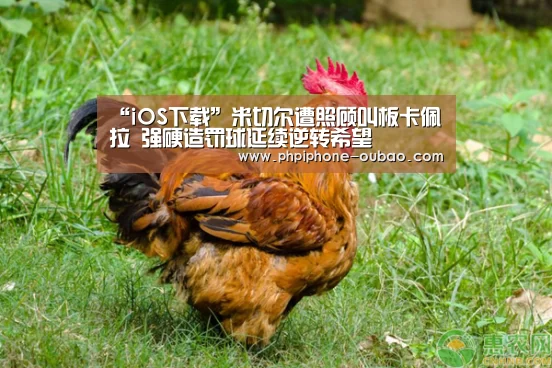 “iOS下载”米切尔遭照顾叫板卡佩拉 强硬造罚球延续逆转希望(图3) 欧宝体育APP